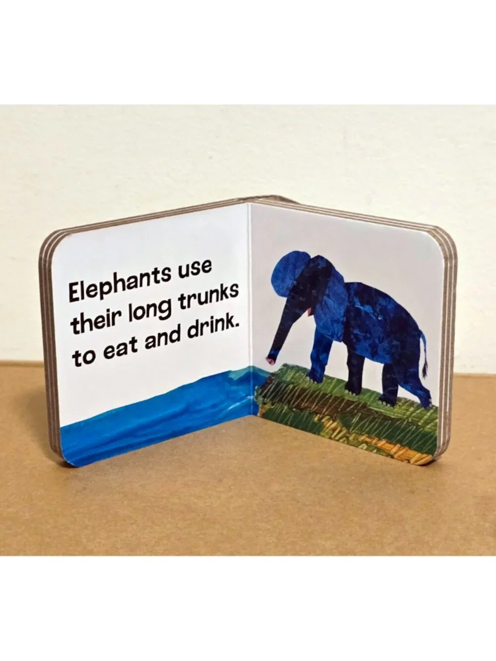 Eric Carle Set 5 Mini Board Books Animals + Math Giraffe Elephant Numbers Lizard